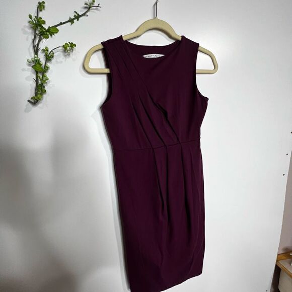 Susana Monaco Purple Stretch Ruched Tank Mini Dress - Picture 7 of 10